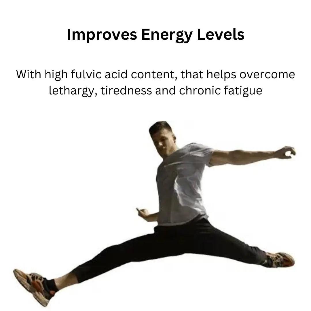 NATURAL SHILAJIT Nutri Labs